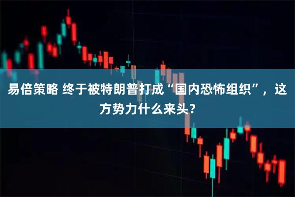 易倍策略 终于被特朗普打成“国内恐怖组织”，这方势力什么来头？