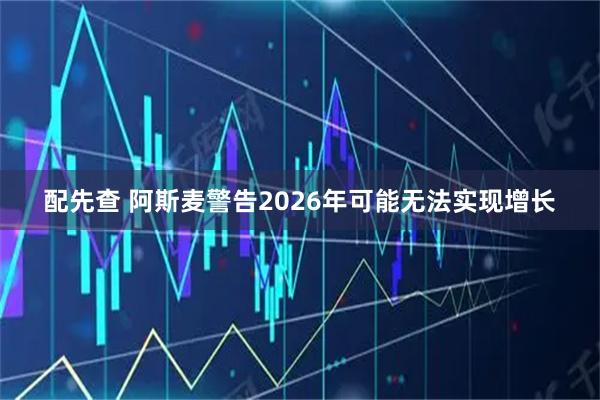 配先查 阿斯麦警告2026年可能无法实现增长