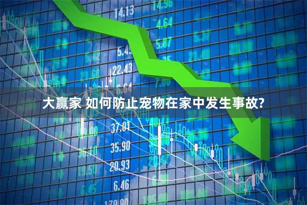 大赢家 如何防止宠物在家中发生事故?
