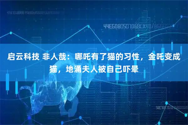 启云科技 非人哉：哪吒有了猫的习性，金吒变成猫，地涌夫人被自己吓晕
