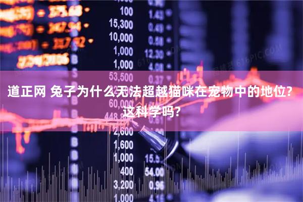 道正网 兔子为什么无法超越猫咪在宠物中的地位? 这科学吗?