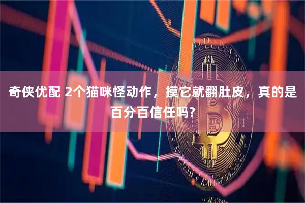 奇侠优配 2个猫咪怪动作，摸它就翻肚皮，真的是百分百信任吗?